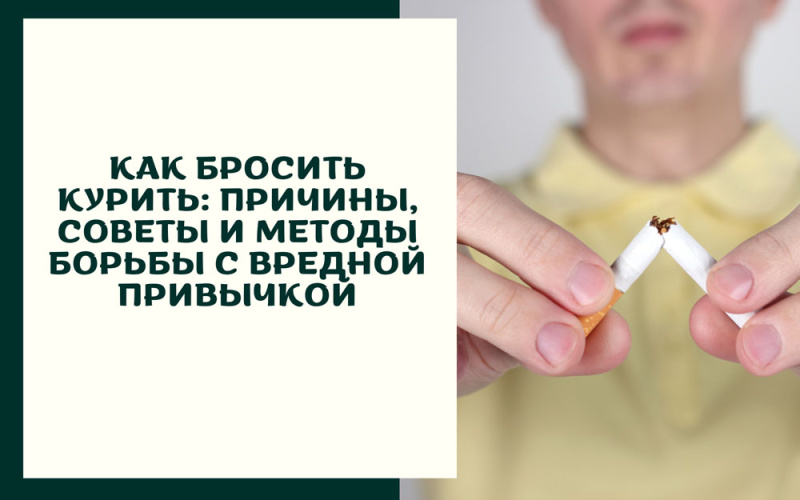 Как бросить курить: причины, советы и методы борьбы с вредной привычкой Как бросить курить: причины, советы и методы борьбы с вредной привычкой