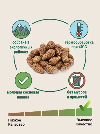 Мульча для сада из шишек целых 5 кг Мульча для сада из шишек целых 5 кг
