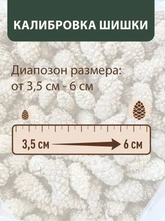 Мульча для сада из шишек целых 5 кг Мульча для сада из шишек целых 5 кг