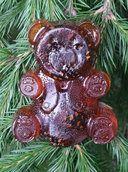 Мармелад сосновый МИШКА на пектине с сосновой шишкой Мармелад сосновый МИШКА на пектине с сосновой шишкой