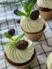 Цукаты сосновые (20*25 гр)